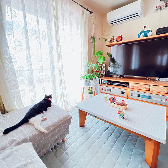 moolさんの実例写真
