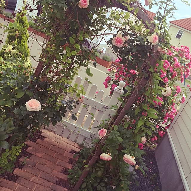 pink.heart.countryさんの実例写真