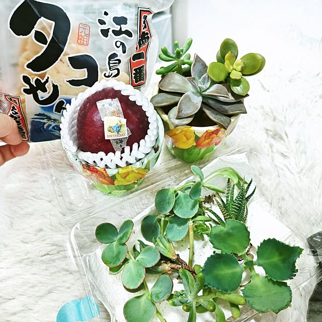 mariaさんの部屋