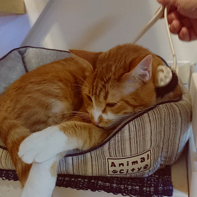 taka-kiさんの実例写真