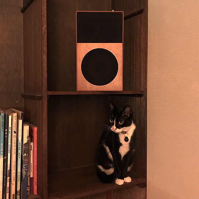 nejimakiさんの実例写真