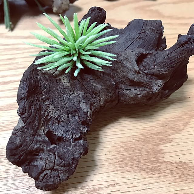 Itiさんの実例写真