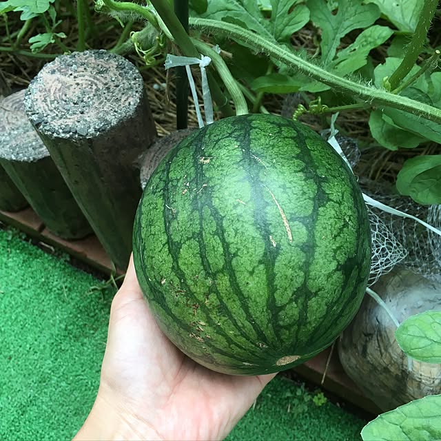 HWBK14さんの実例写真