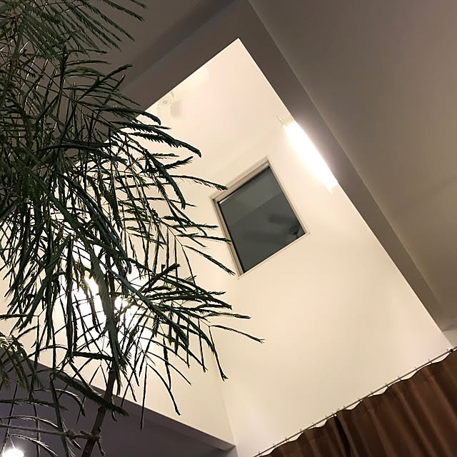 Wakameさんの実例写真