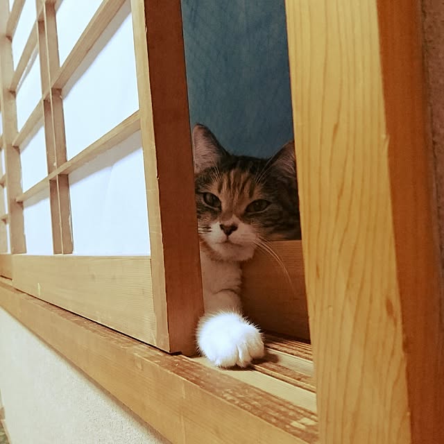 yukieさんの実例写真
