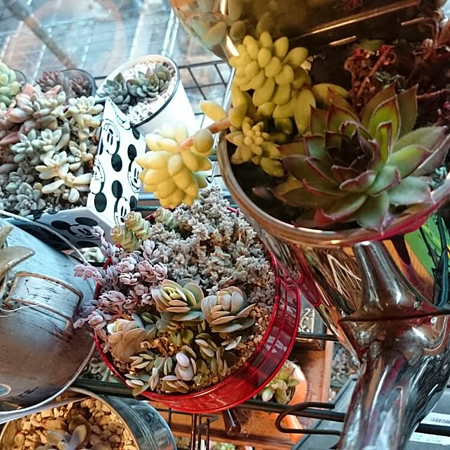 cocomilkさんの実例写真
