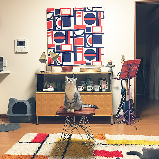 Shojiさんの実例写真