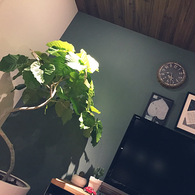 GUMIさんの実例写真