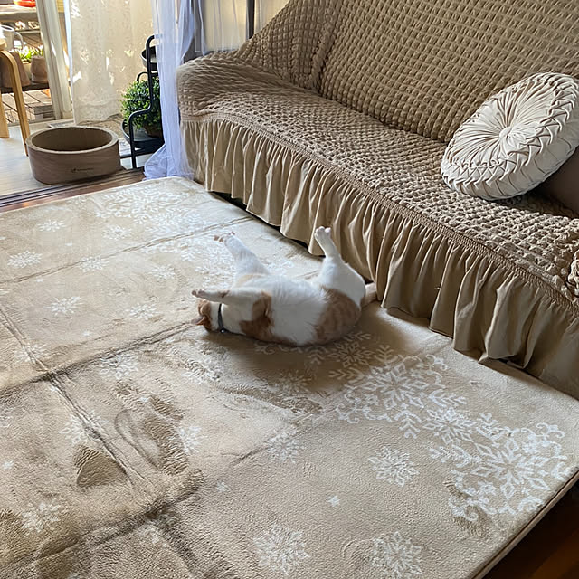 mintteaさんの部屋