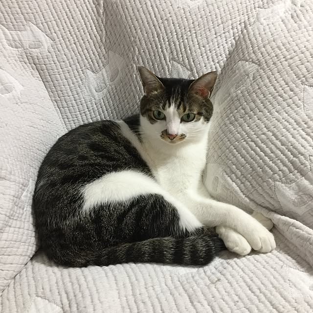 yuchiさんの実例写真