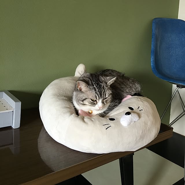 Shojiさんの実例写真