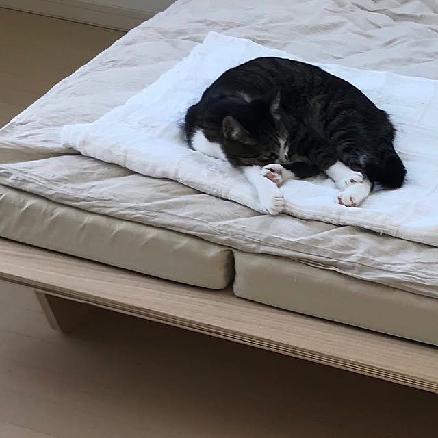 JUENさんの実例写真