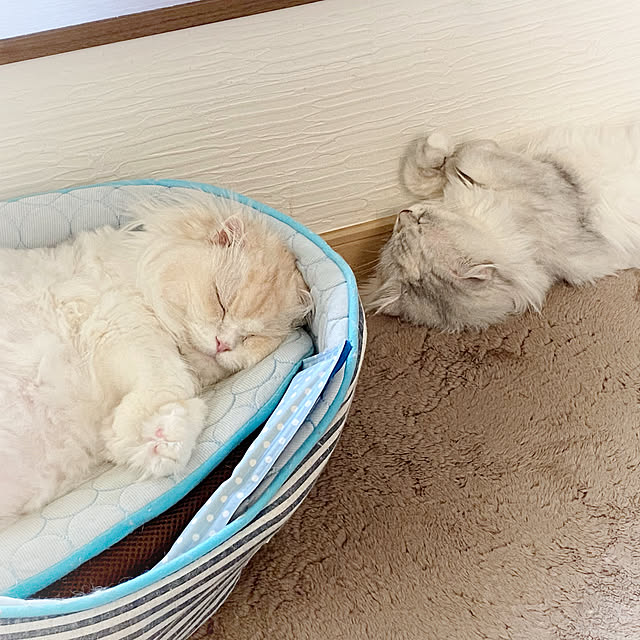 luna.comさんの実例写真