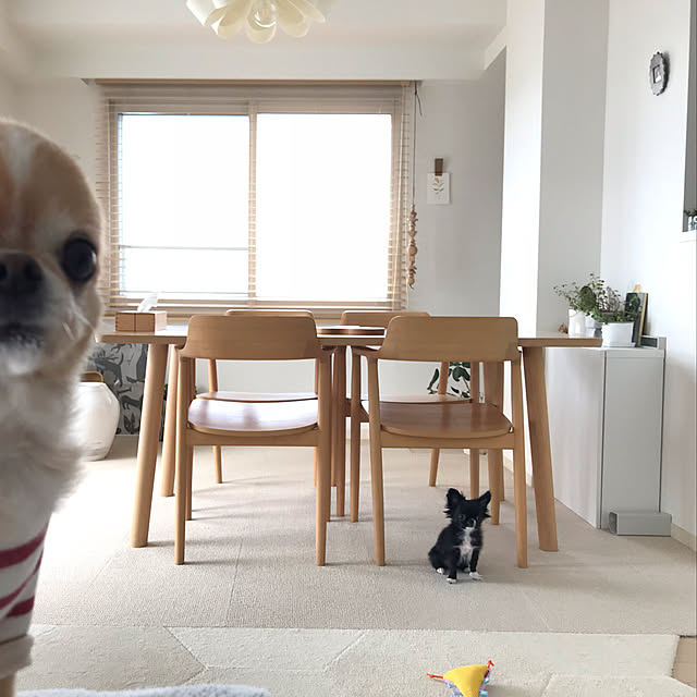 haruhinaさんの実例写真
