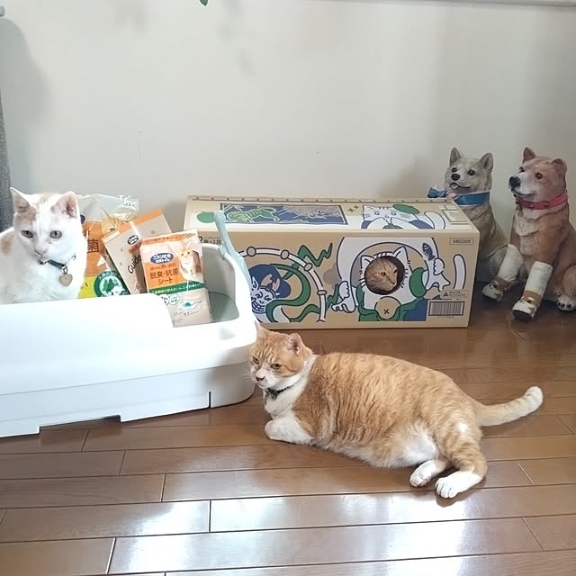 NOAHさんの実例写真