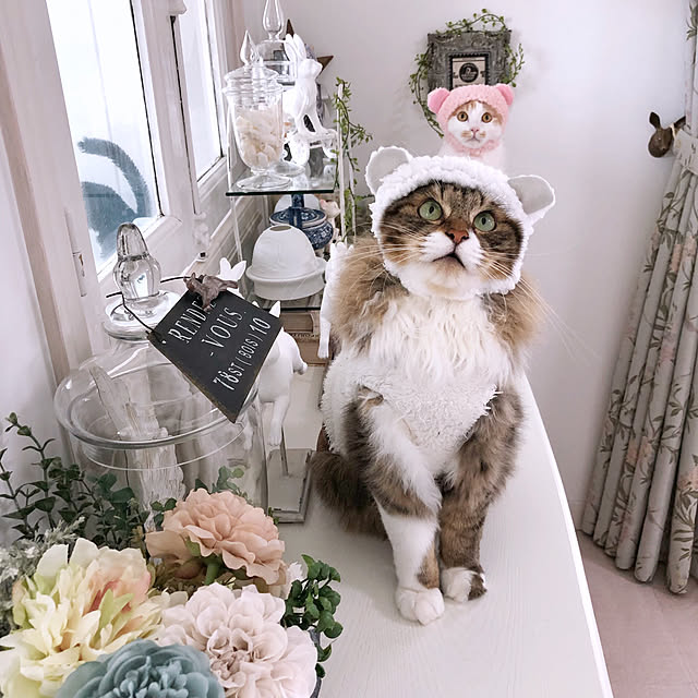 yuchiさんの実例写真