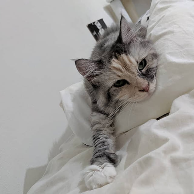 BEroomさんの実例写真