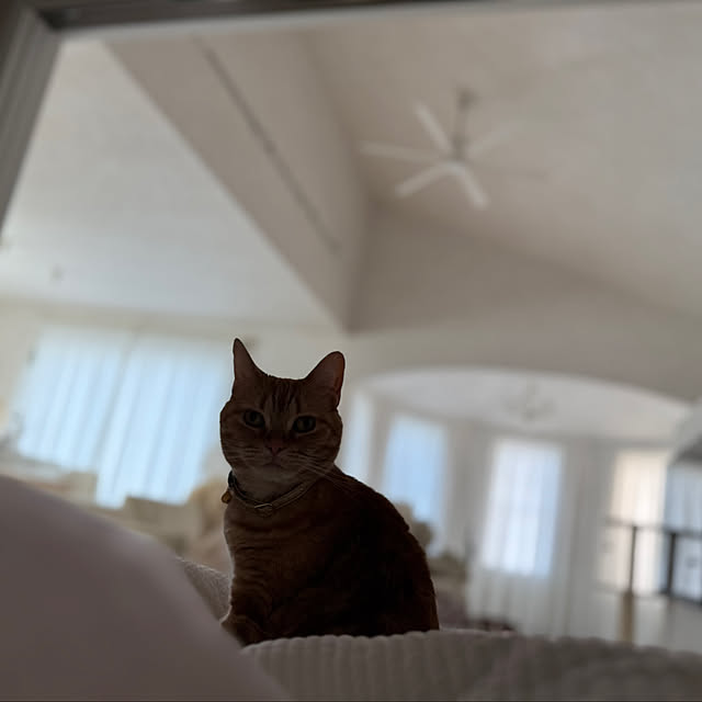 m623さんの実例写真