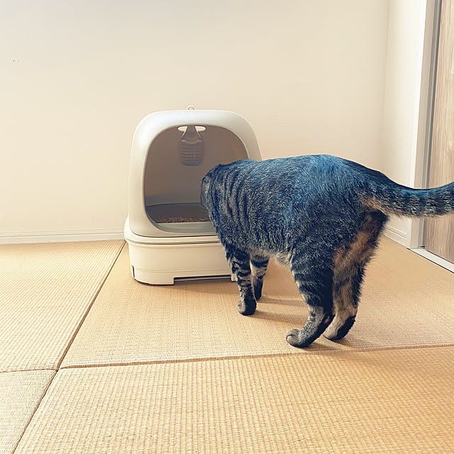 mmeeronさんの実例写真