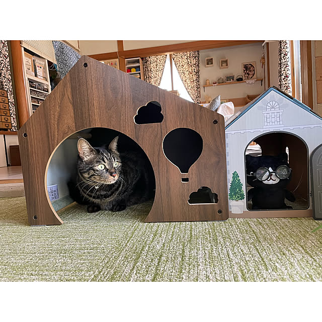momocchiさんの部屋