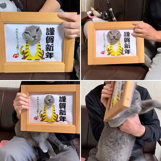 masaさんの実例写真
