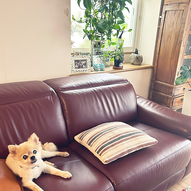 tokoさんの実例写真
