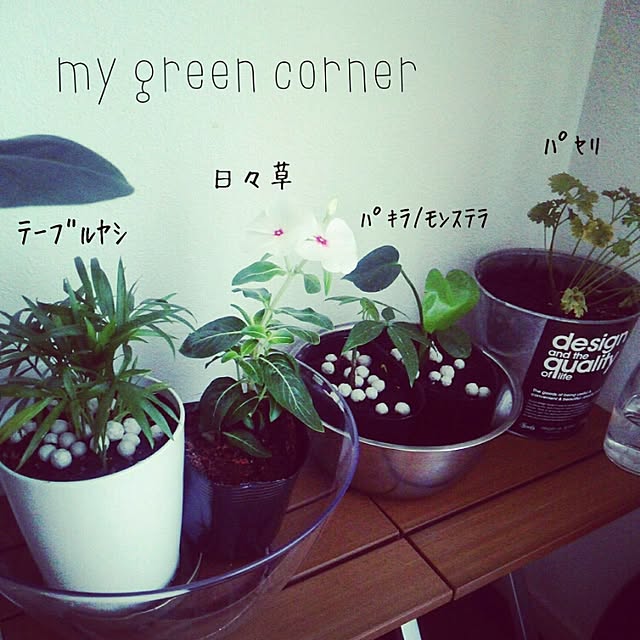 eriさんの実例写真