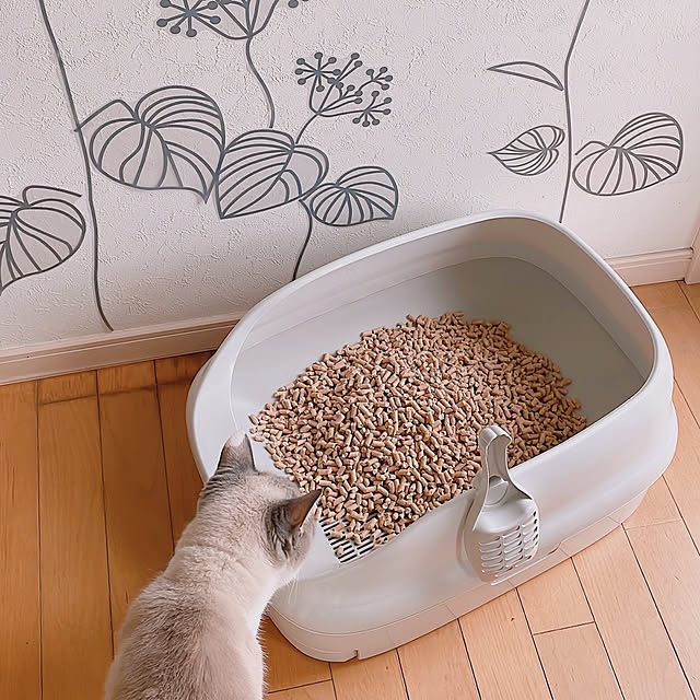 milkcocoaさんの部屋