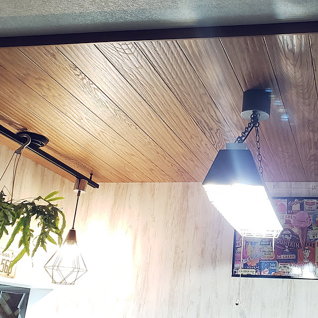部屋全体/ダイニング 天井のインテリア実例 - 2019-03-02 22:28:11