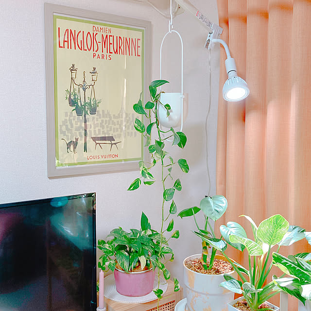 yuyuさんの部屋