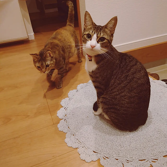 mochicoさんの実例写真