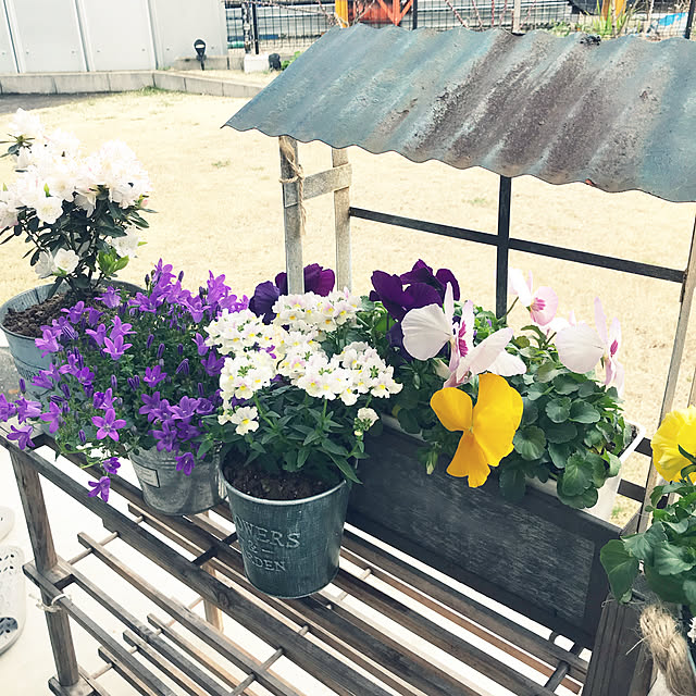maisonさんの実例写真