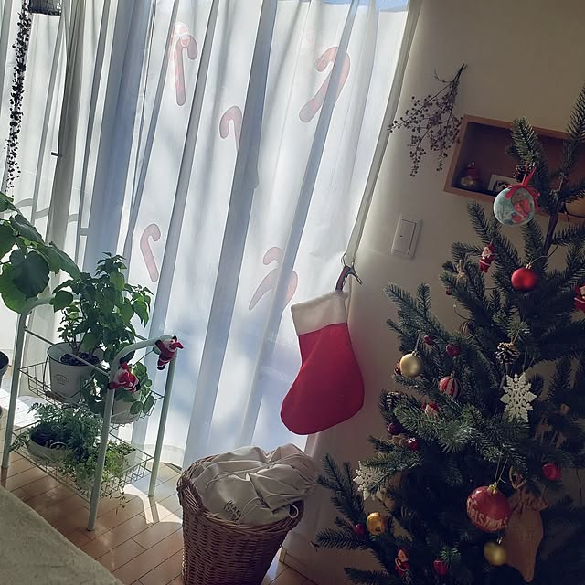 wanidaさんの実例写真