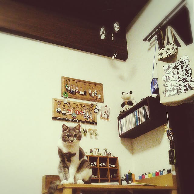 lovepandaさんの実例写真