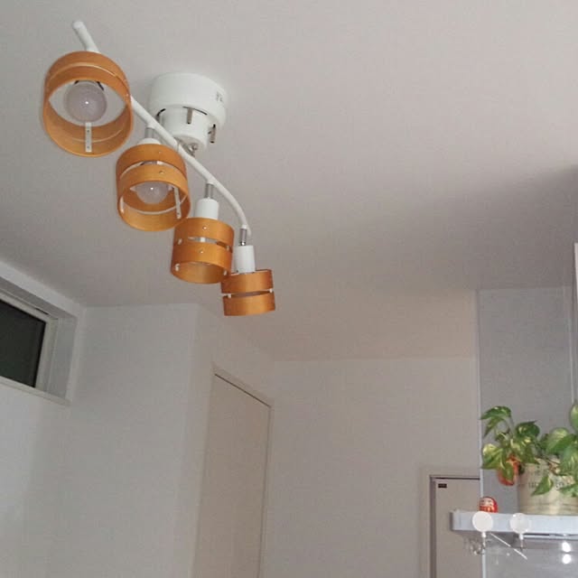 carp445さんの実例写真