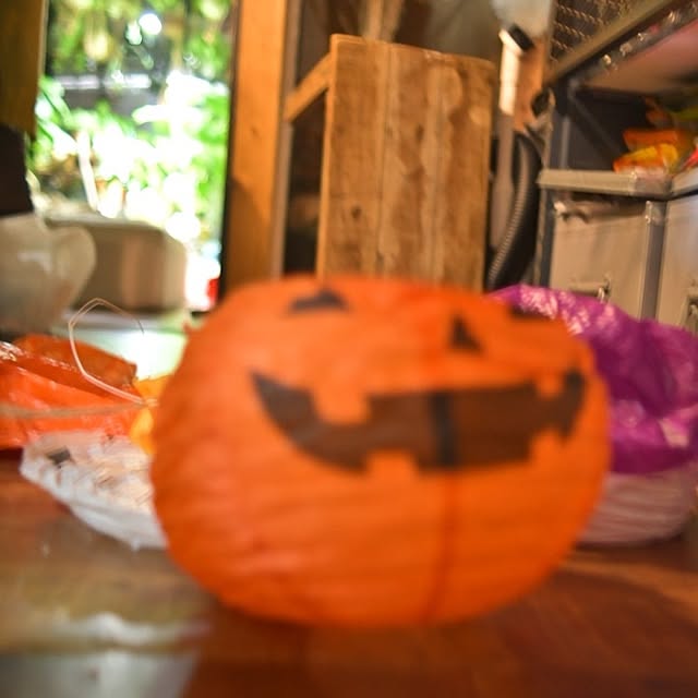 CYNOSさんの実例写真