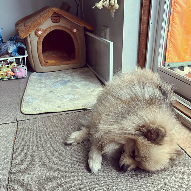 uninekoさんの部屋