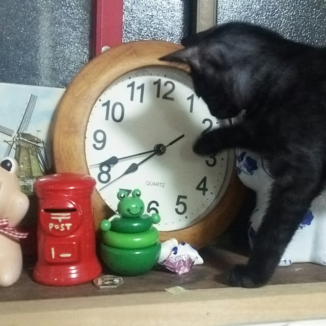 kiyohima229さんの実例写真