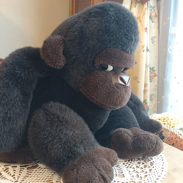 Hujikoさんの部屋