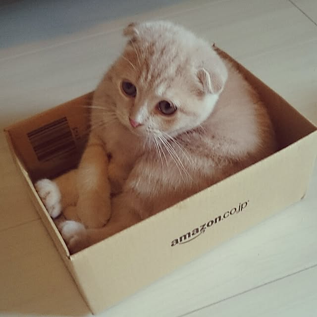 MarshmallowMuffinさんの実例写真