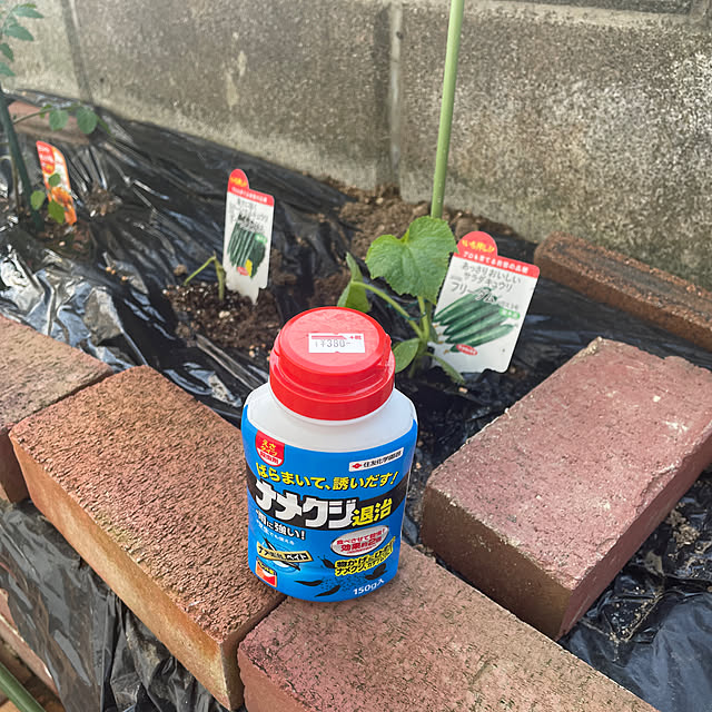 yuu.oさんの実例写真