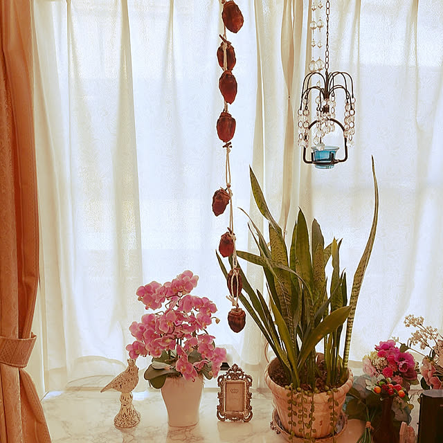 mukkuさんの実例写真