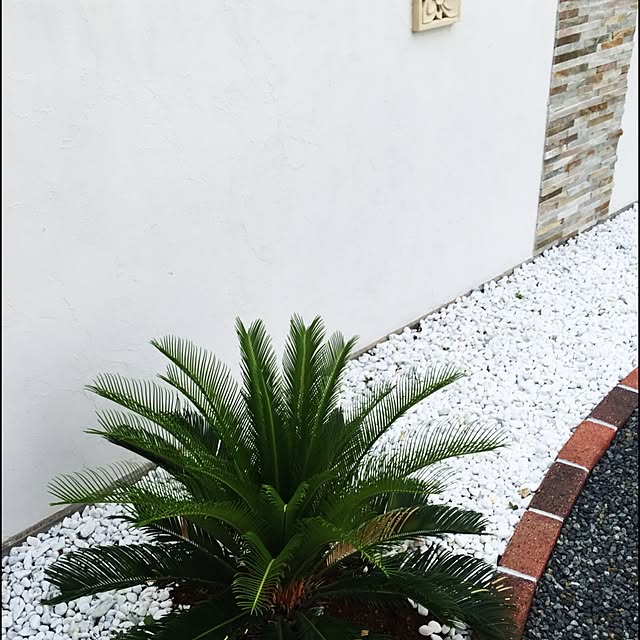 higfam.0708さんの実例写真