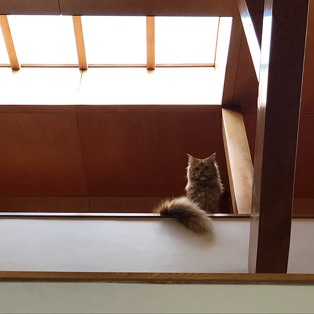 kabu10さんの実例写真