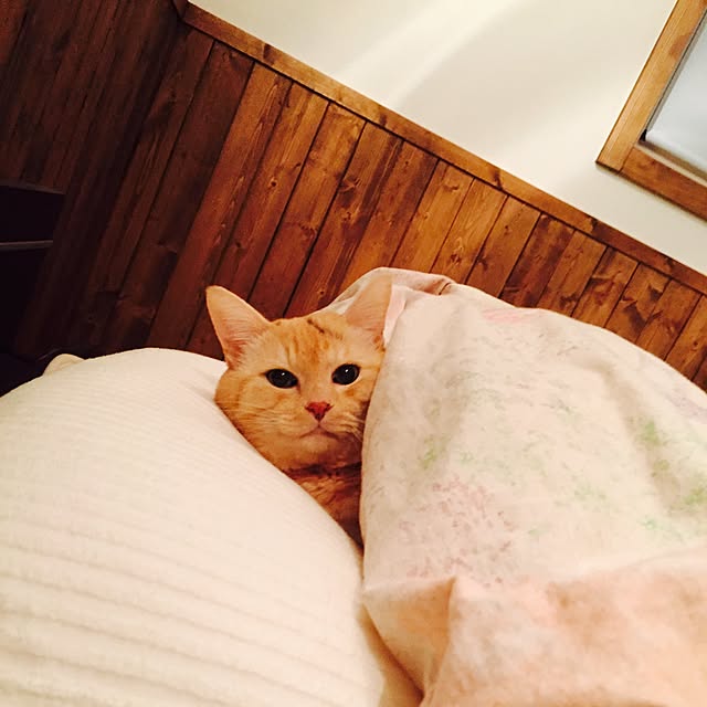 marokichiさんの実例写真