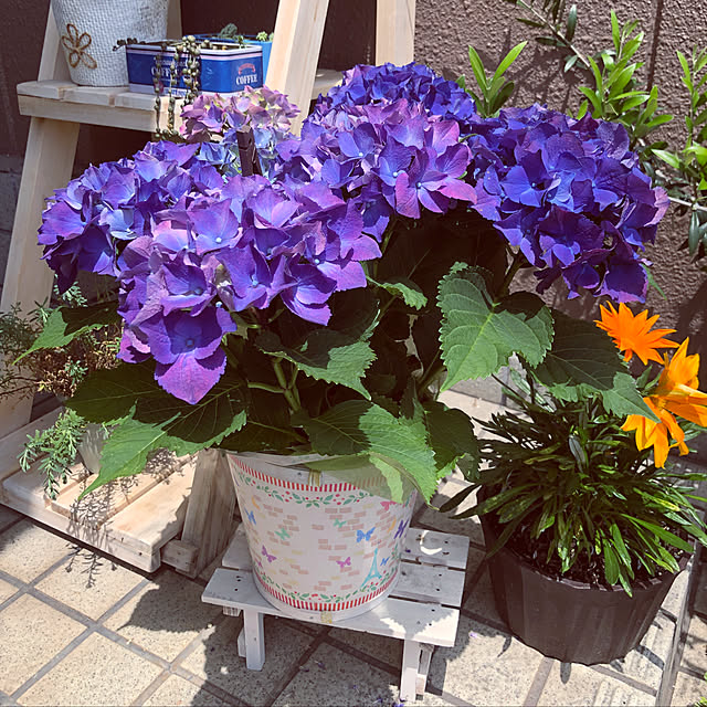 Kumikoさんの実例写真