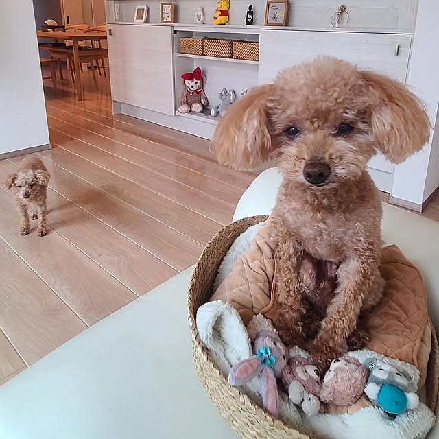 yumi.grandsaisonさんの実例写真