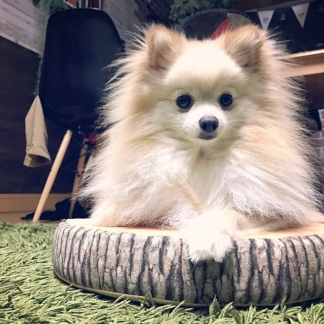 franさんの実例写真