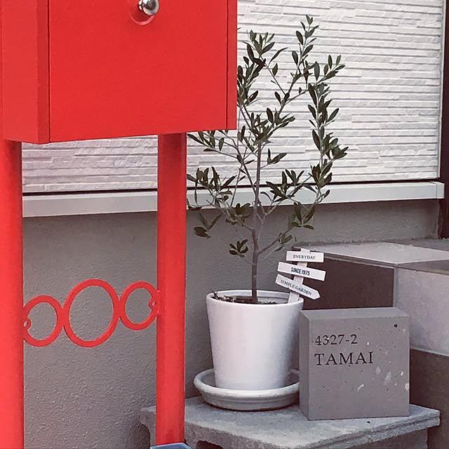 Tomoさんの実例写真