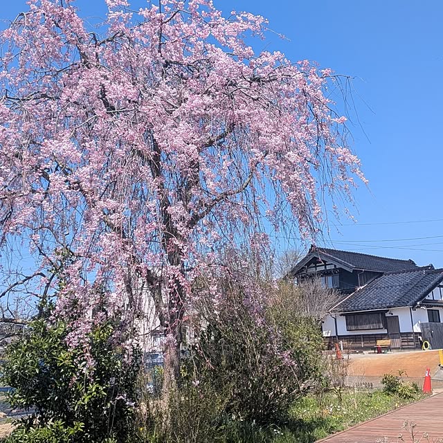 artfieldさんの部屋